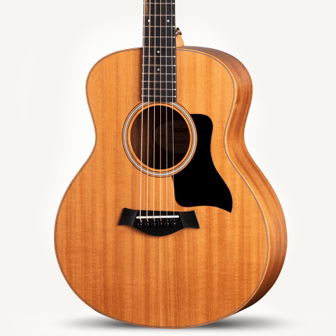 大学 兄弟割引 Taylor-GS Mini-e Mahogany- ギター
